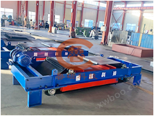 RCYD (C) appeso auto-dumping magnete permanente remover ferro