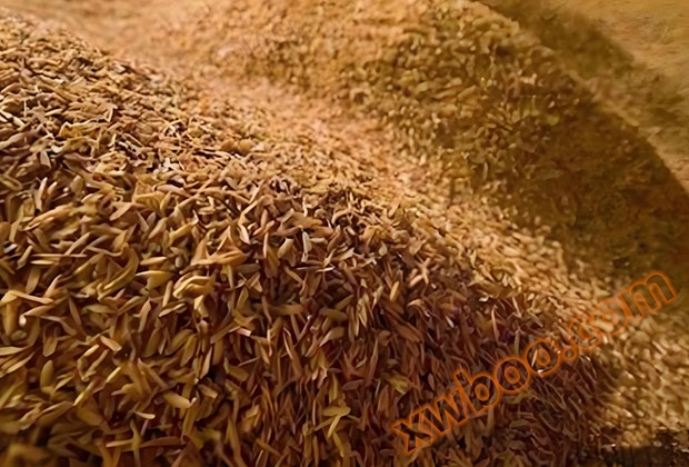 Rice husk steaming and cooking